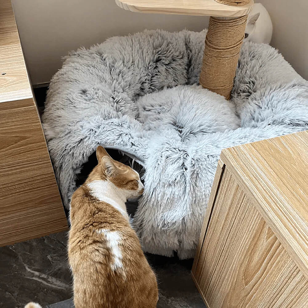 2 in 1 Foldable Indoor Soft Round Cat Tunnel Bed - Image 9
