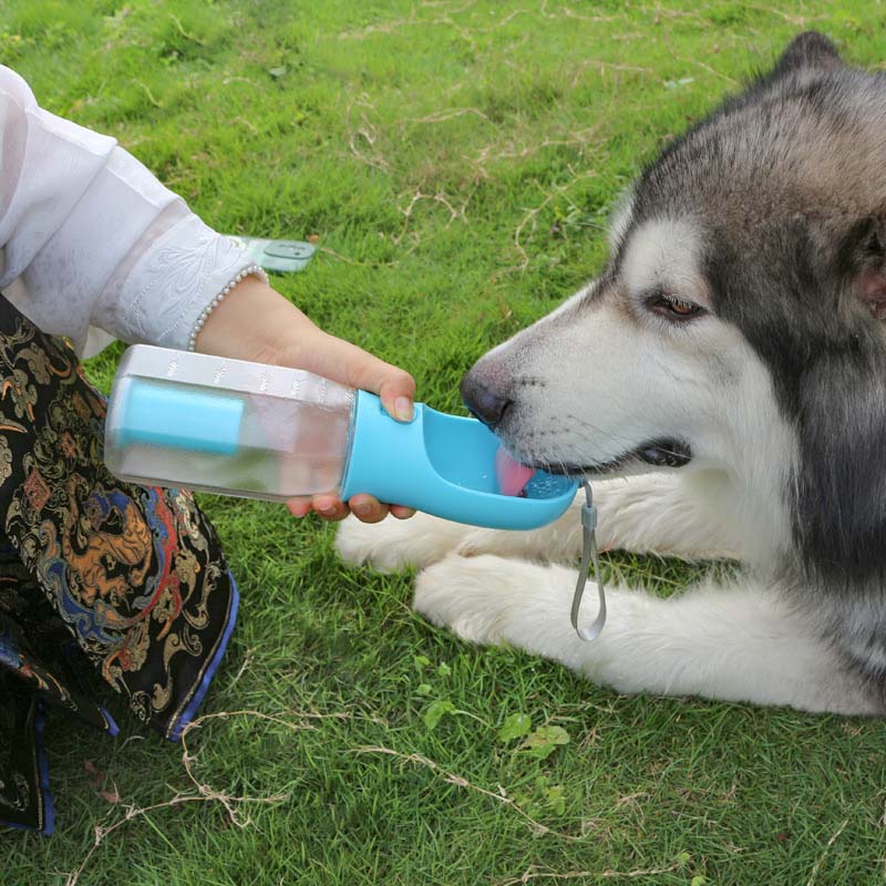 3 in 1 Multifunctional Portable Dog Walking Water Bottle - Image 8