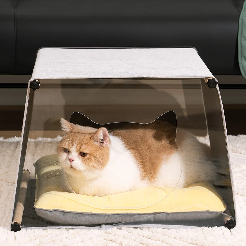 Acrylic Indoor Simple Solid Wood Structure Cat House - Image 3