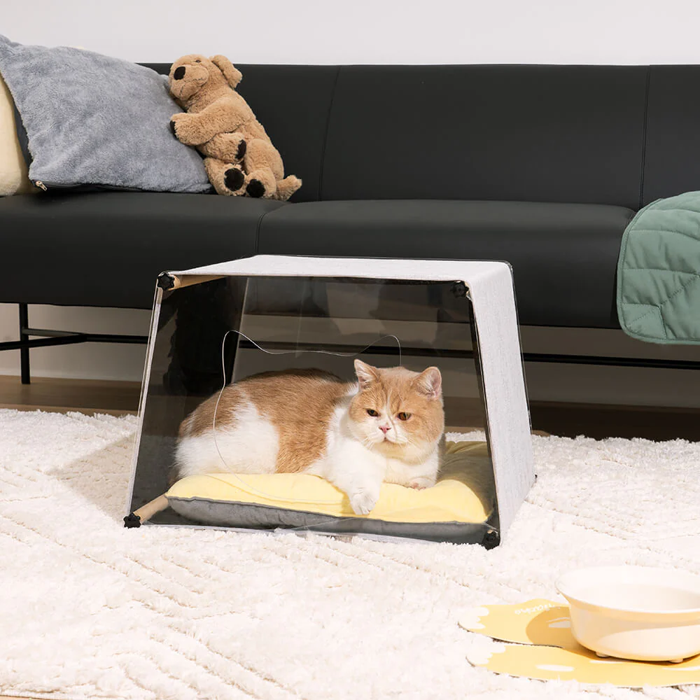 Acrylic Indoor Simple Solid Wood Structure Cat House - Image 7