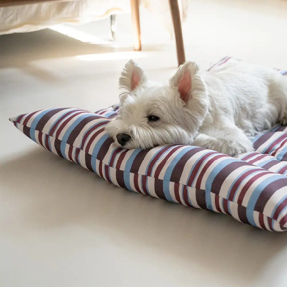 All-Season Breathable Double-Sided Neck Support Pillow Dog Bed - Image 3