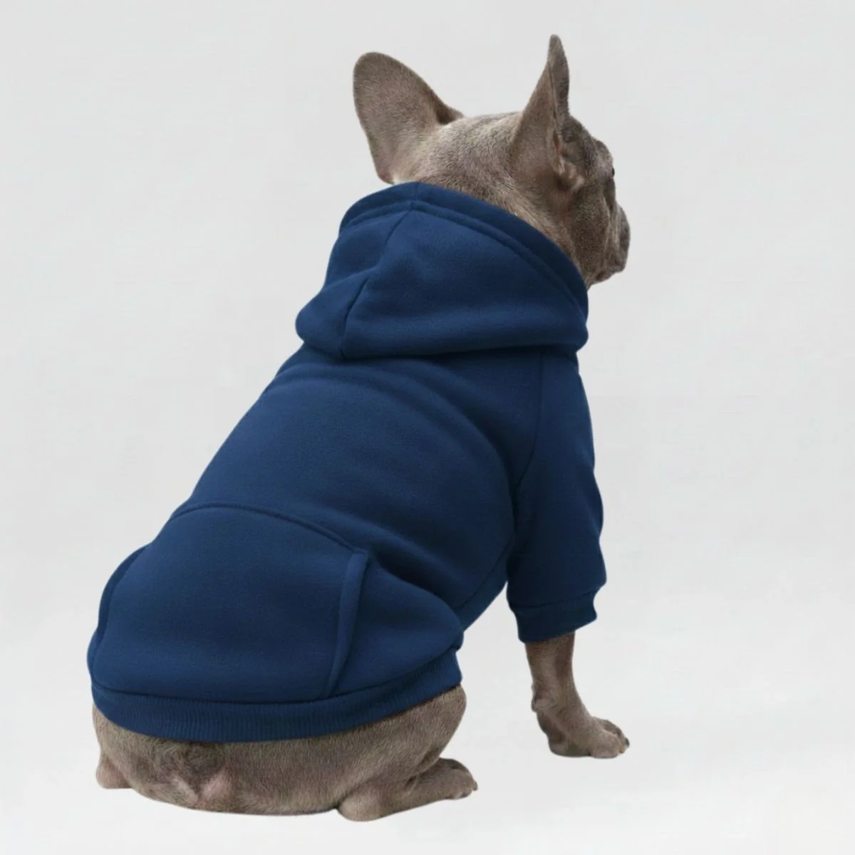 Colorful Cozy Dog Hoodies - Perfect for All-Weather Comfort - Image 3