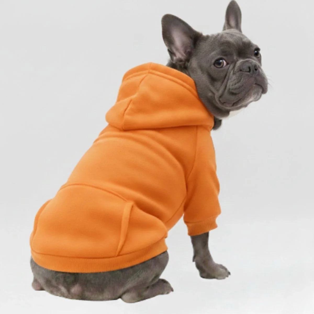 Colorful Cozy Dog Hoodies - Perfect for All-Weather Comfort - Image 4