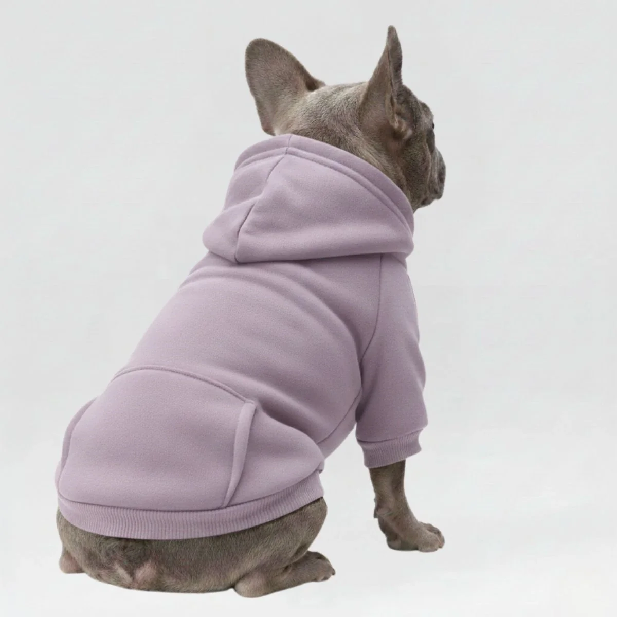 Colorful Cozy Dog Hoodies - Perfect for All-Weather Comfort - Image 6