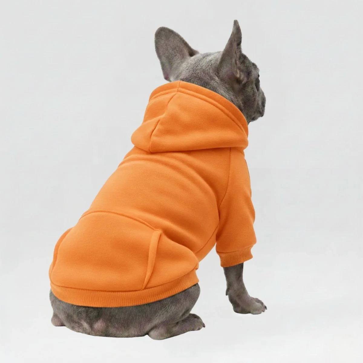 Colorful Cozy Dog Hoodies - Perfect for All-Weather Comfort - Image 9