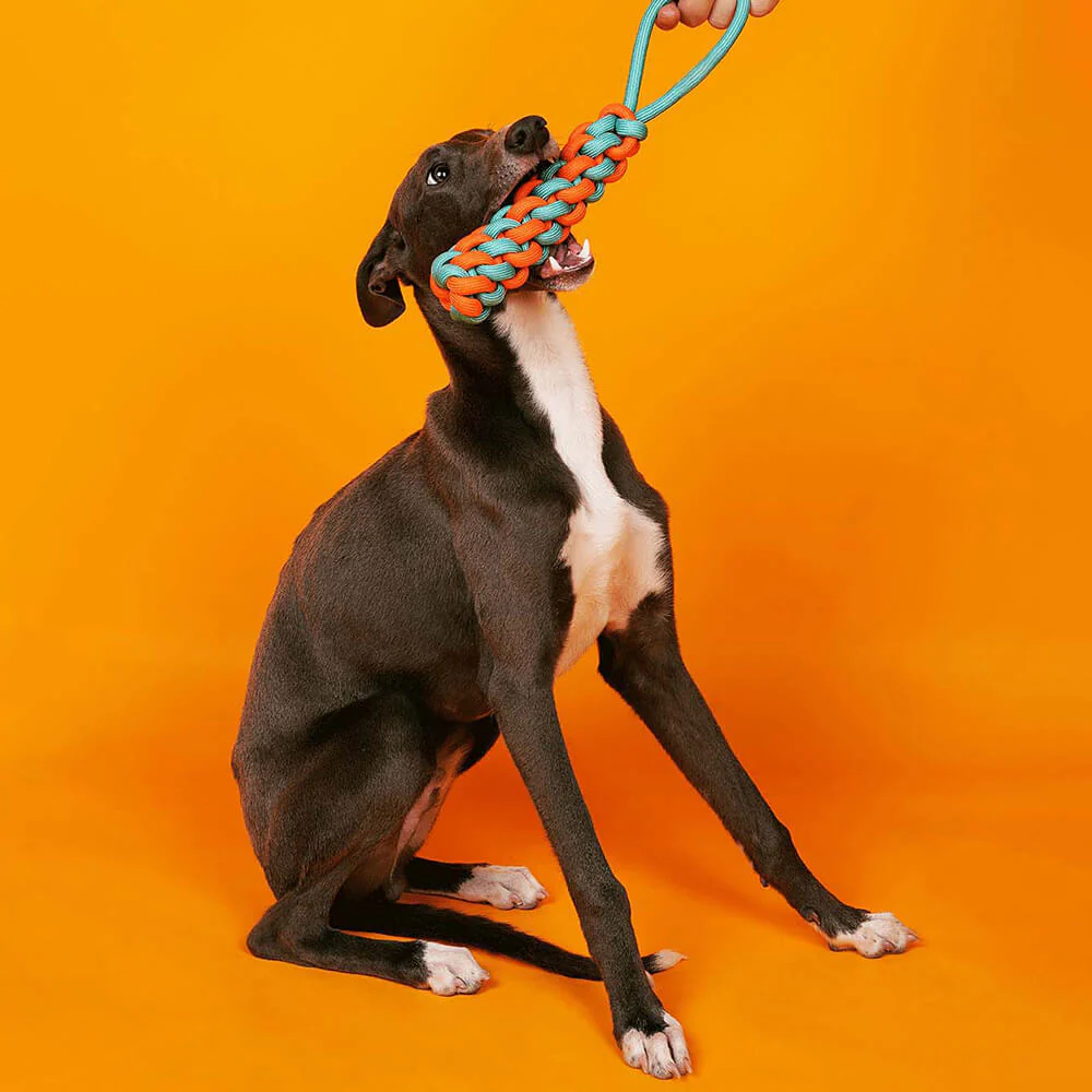 Braided Rope Stick Tug Dog Toy - Color Clash - Image 3
