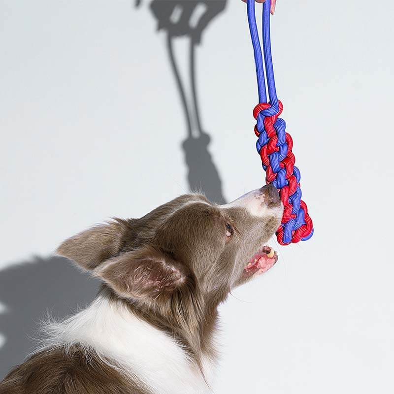 Braided Rope Stick Tug Dog Toy - Color Clash - Image 5