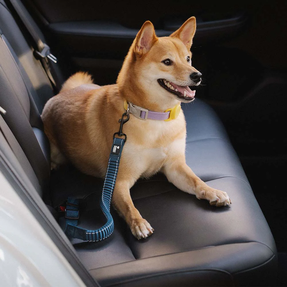 Car Seat Belt Buffer Adjustable Cool Dog Accessories - Image 11