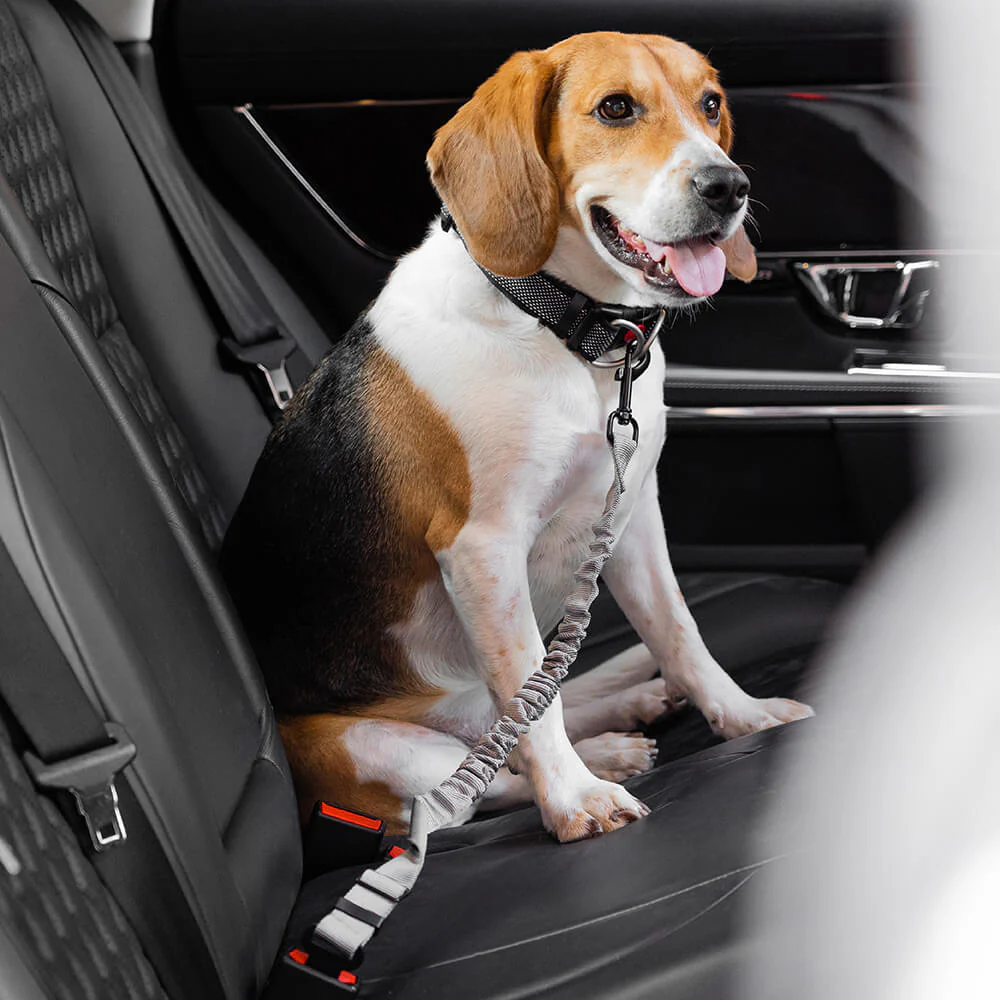 Car Seat Belt Buffer Adjustable Cool Dog Accessories - Image 20