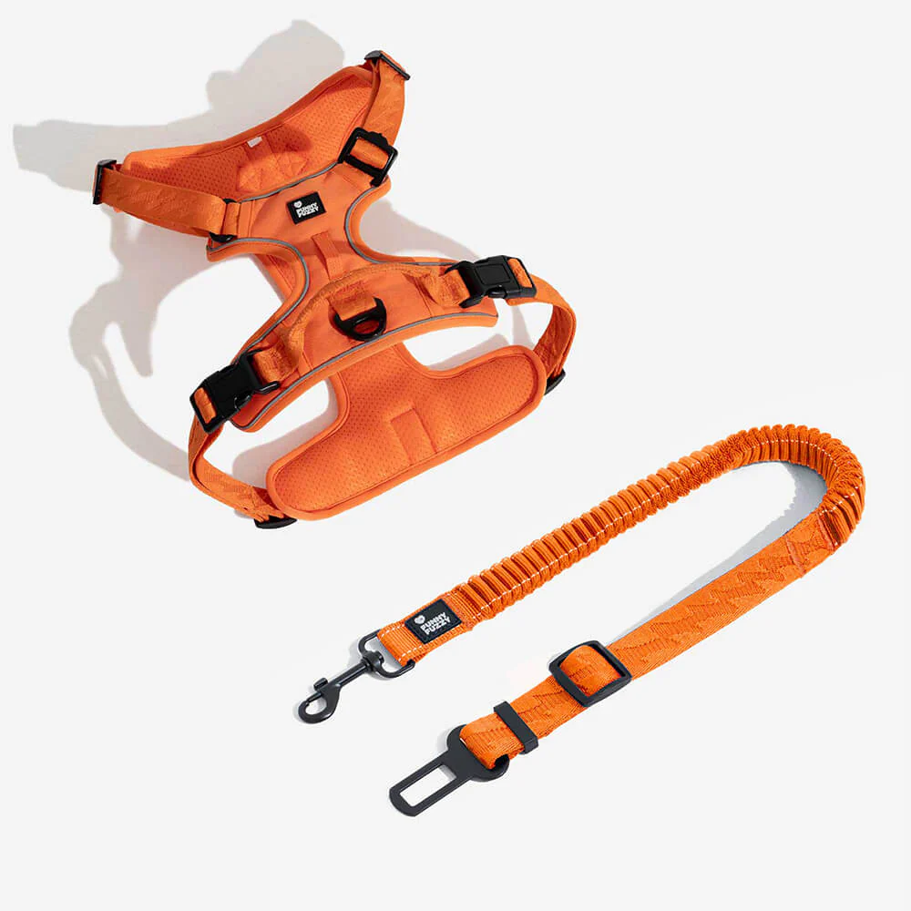 Car Seat Belt Buffer Adjustable Cool Dog Accessories - Image 24