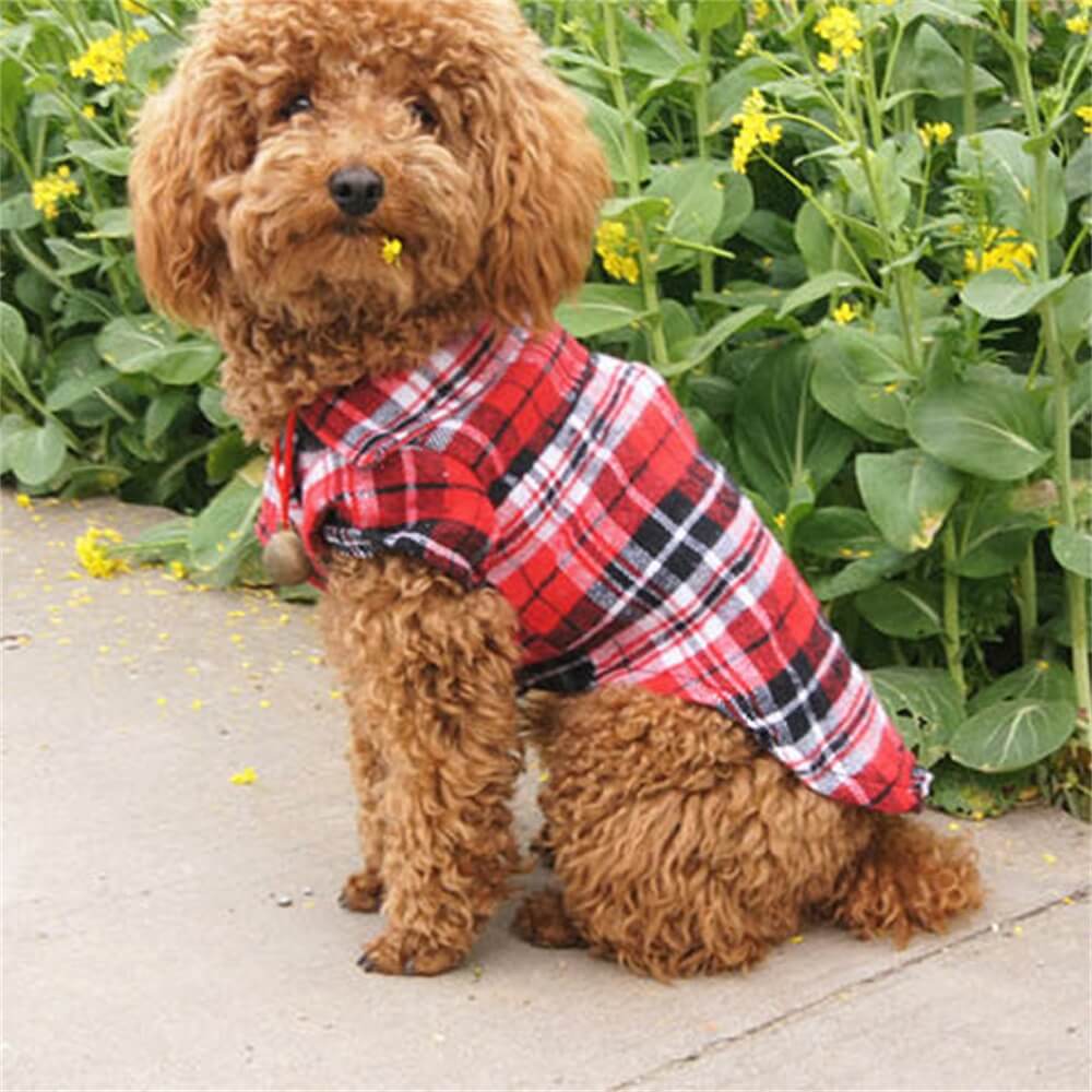 Classic Plaid Dog Shirt - Cozy and Stylish for Every Occasion - Image 6