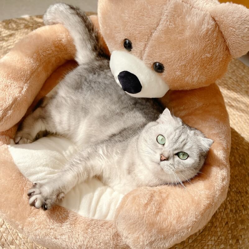 Cute Detachable Cuddle Bear Cat Bed - Image 5