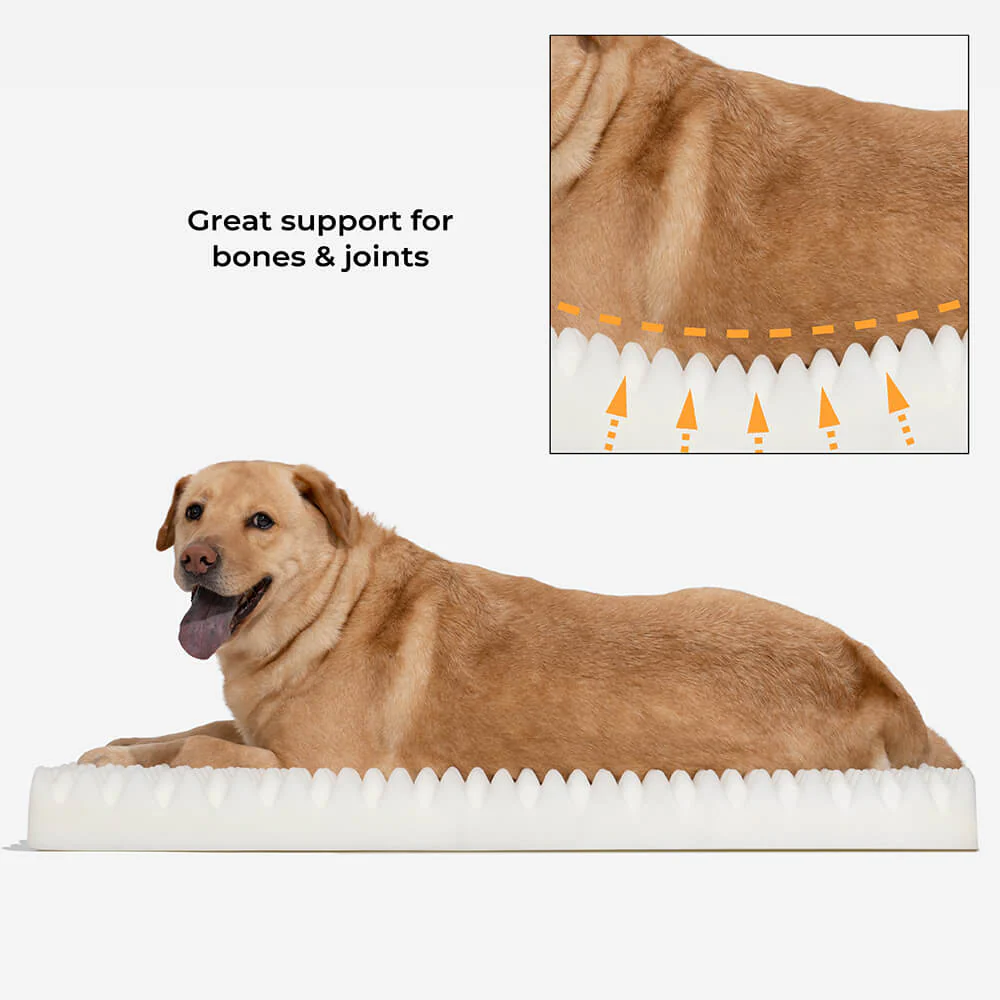 Deluxe Fluffy Full Support Anxiety Relieving Large Dog Bed - Image 9
