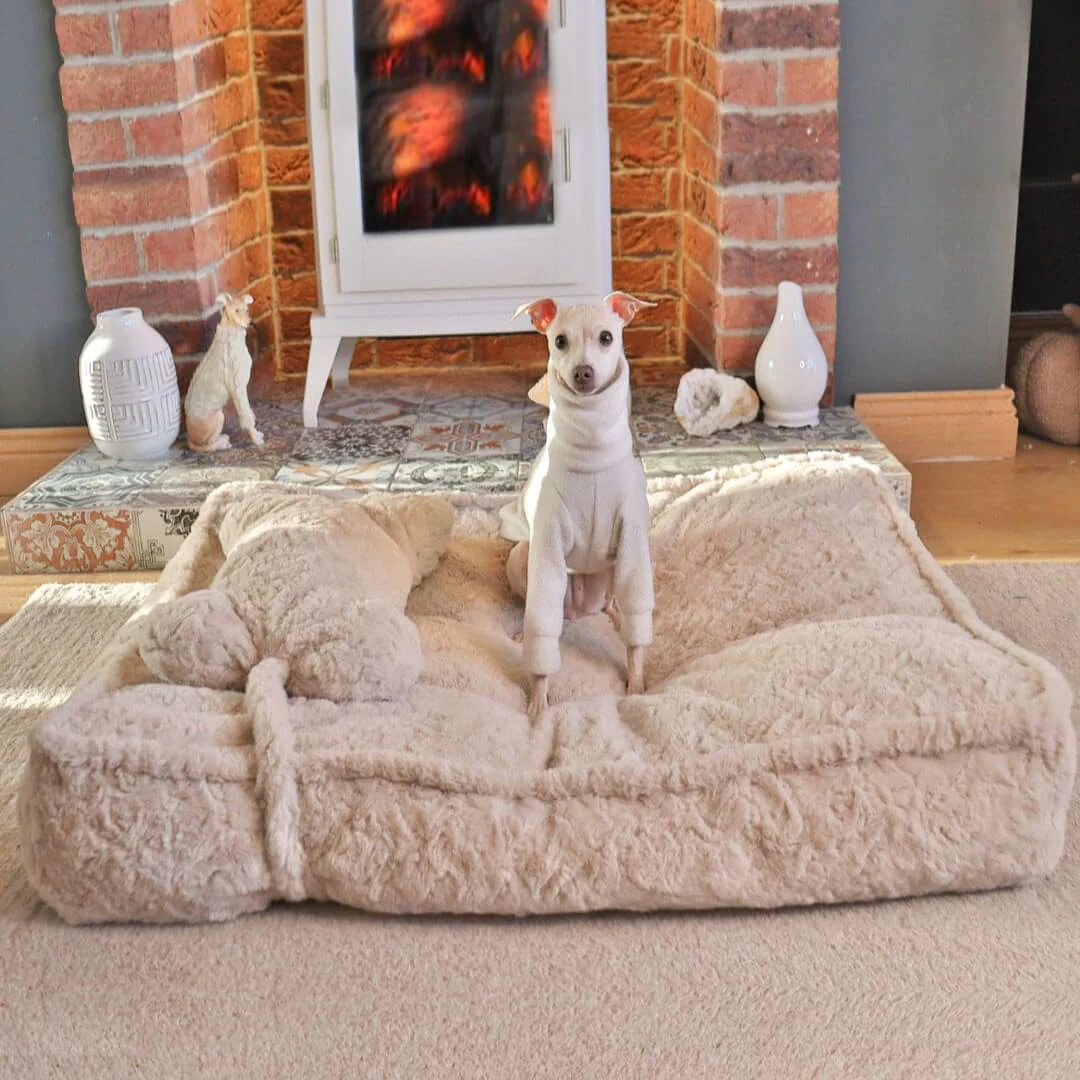 Warming Fluffy Bone Cloud Shape Calming Dog Bed - Image 3