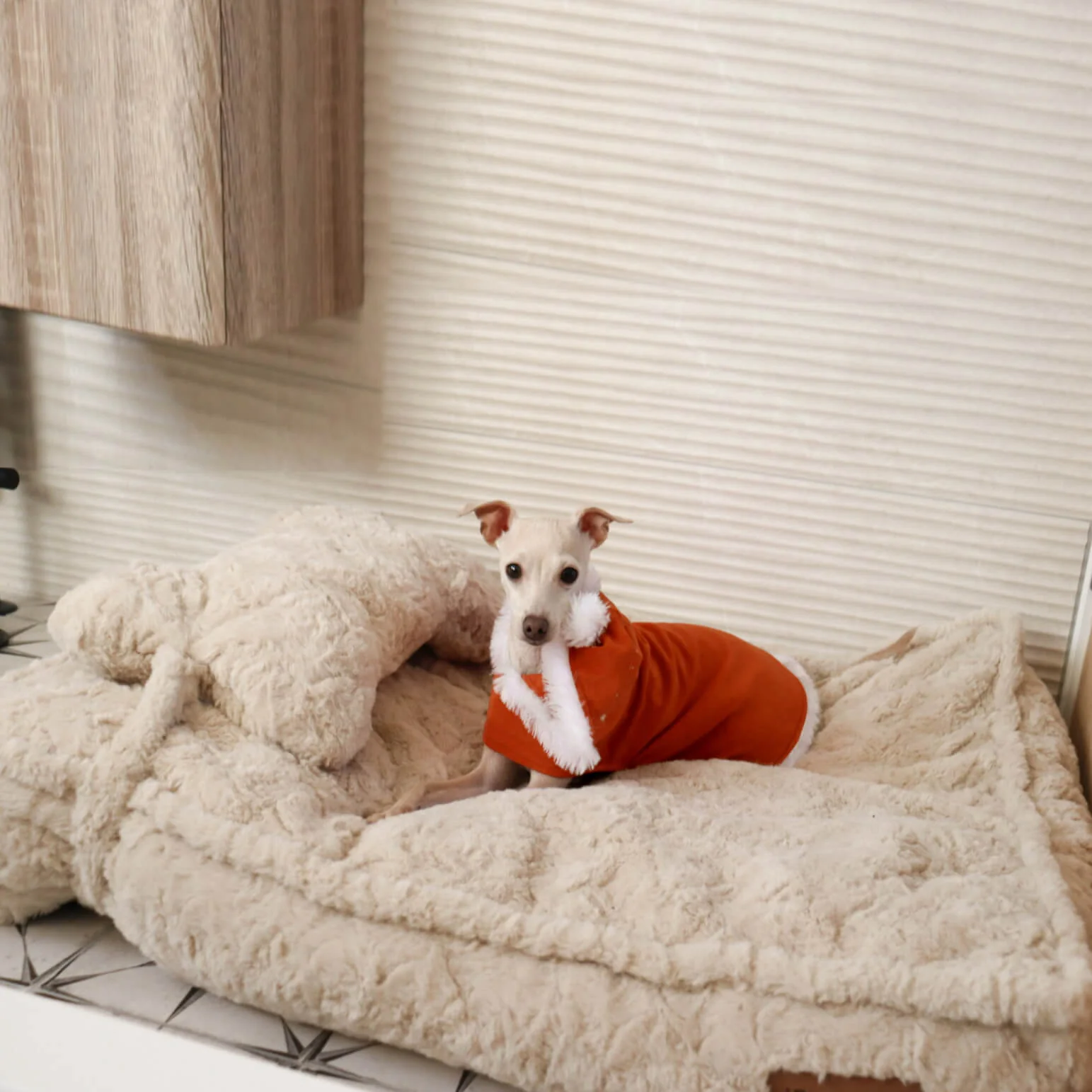 Warming Fluffy Bone Cloud Shape Calming Dog Bed - Image 4
