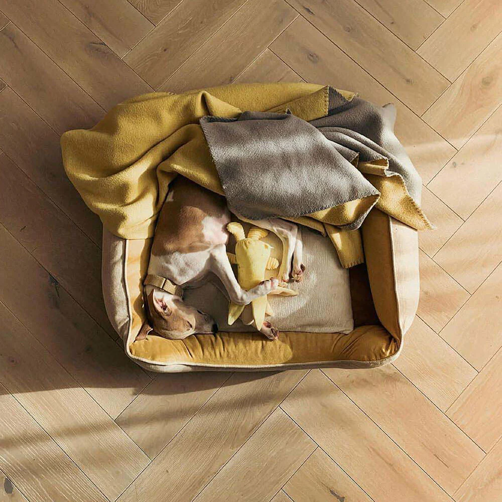 Dog Bed - Square Bread - Image 9
