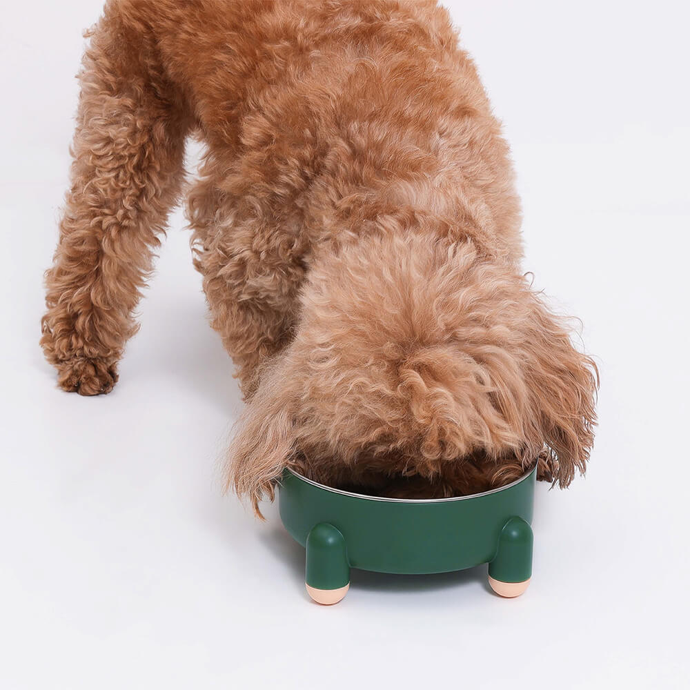Dog Bowl - Tetrapod - Image 6