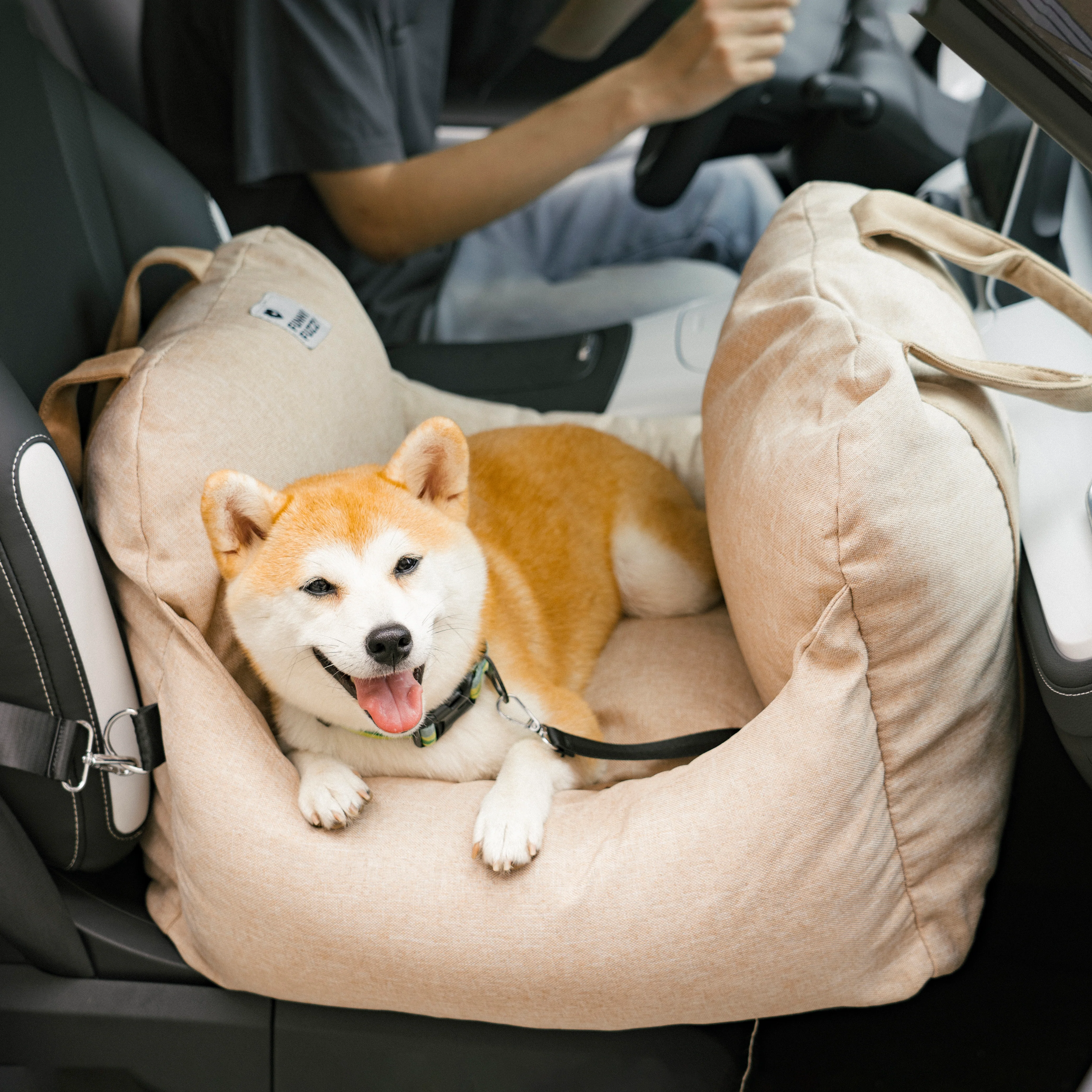 Dog Car Seat Bed - First Class - Image 45