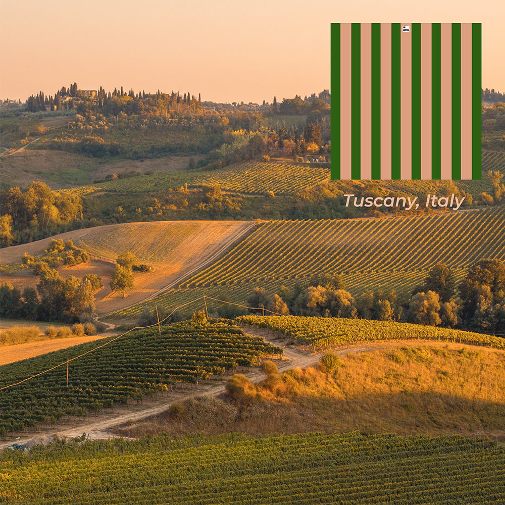 Dog Car Seat Cover- Holiday - Image 13