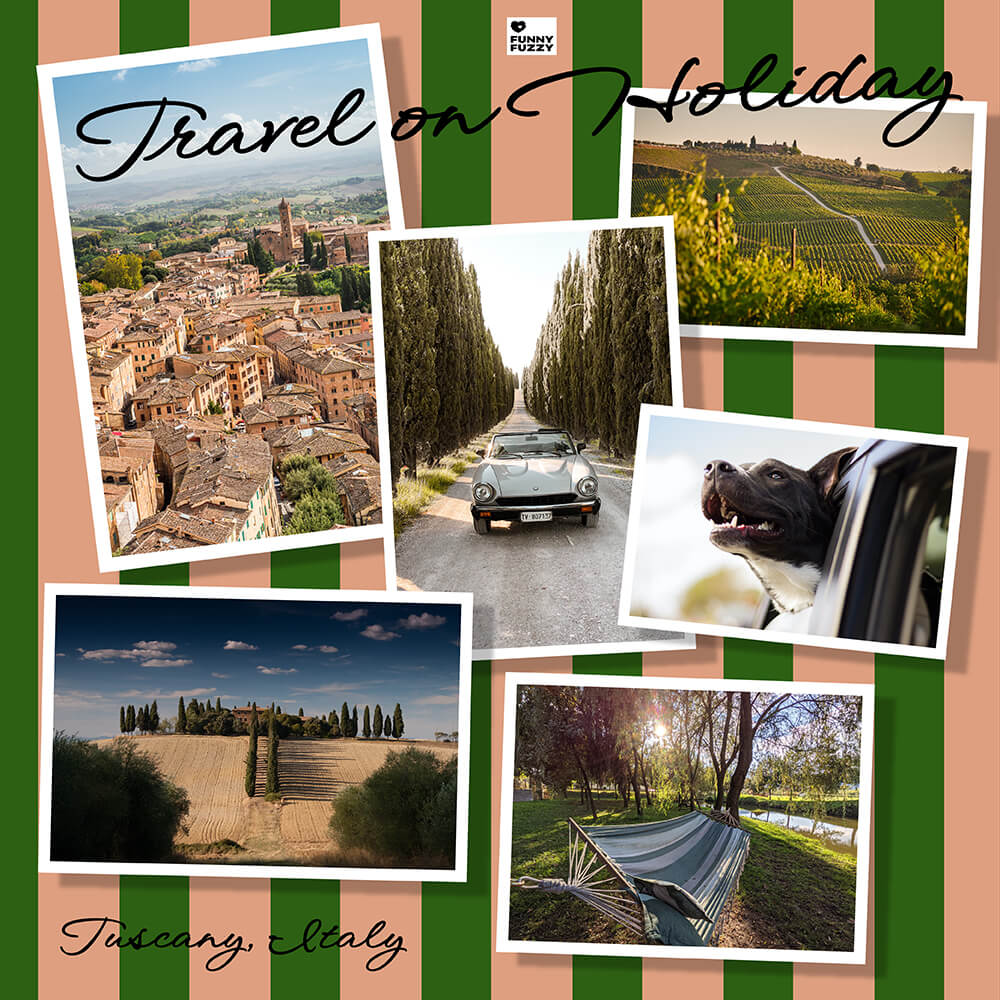 Dog Car Seat Cover- Holiday - Image 14