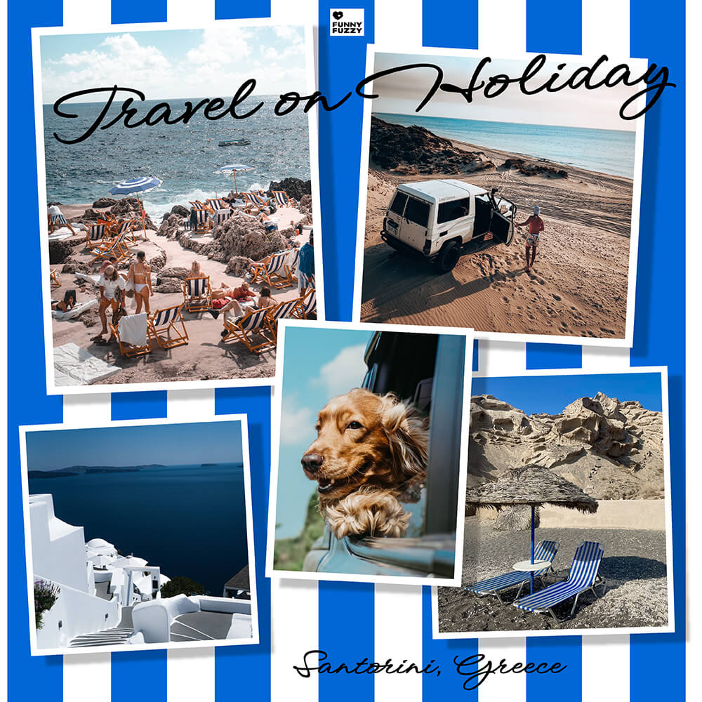 Dog Car Seat Cover- Holiday - Image 5