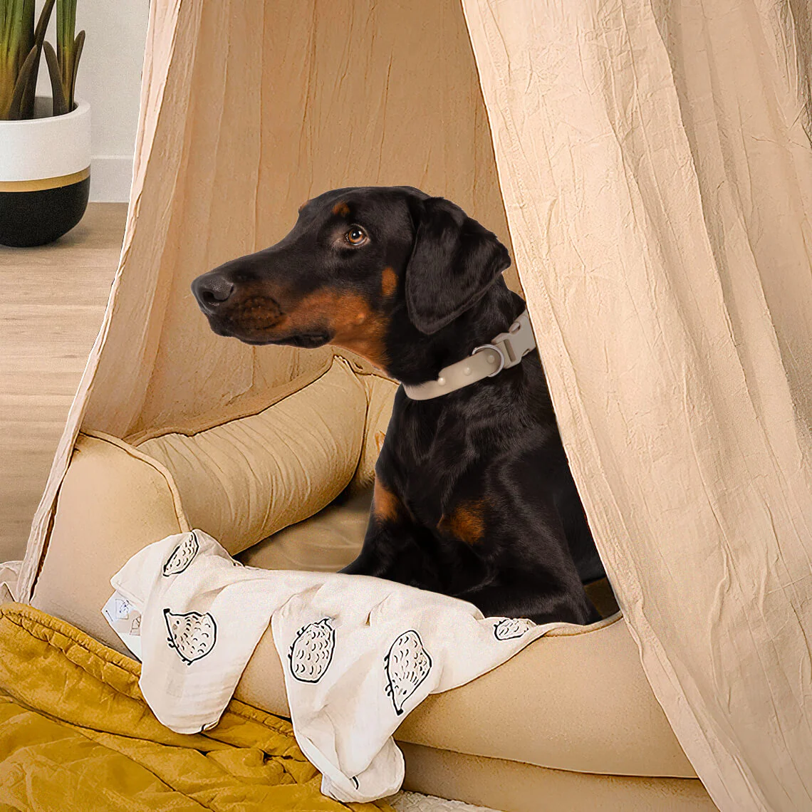 Stylish Soft Cozy Dog Tent  Dog Teepee - Image 3