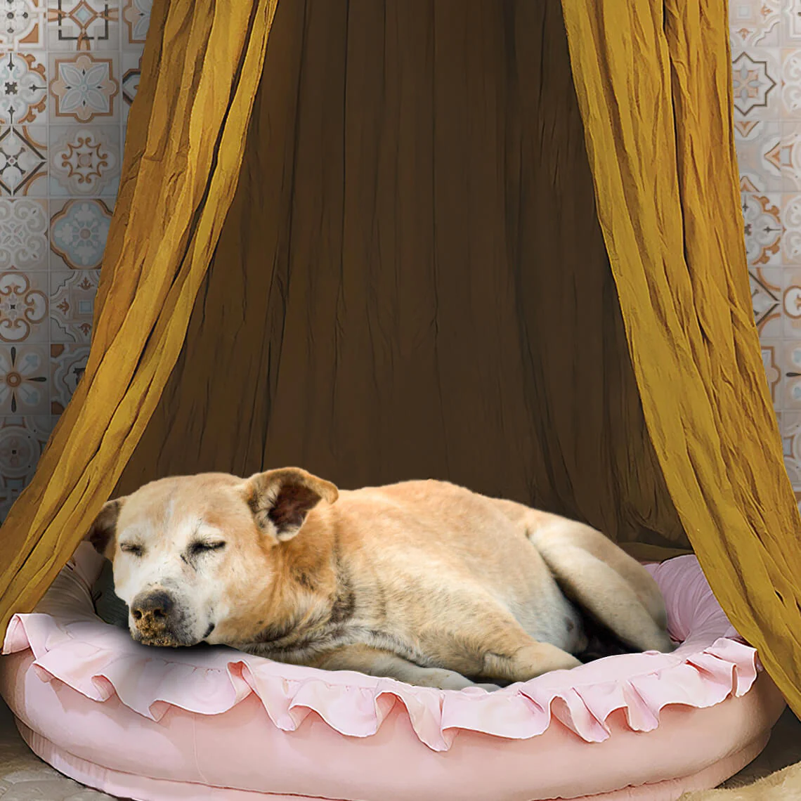 Stylish Soft Cozy Dog Tent  Dog Teepee - Image 7