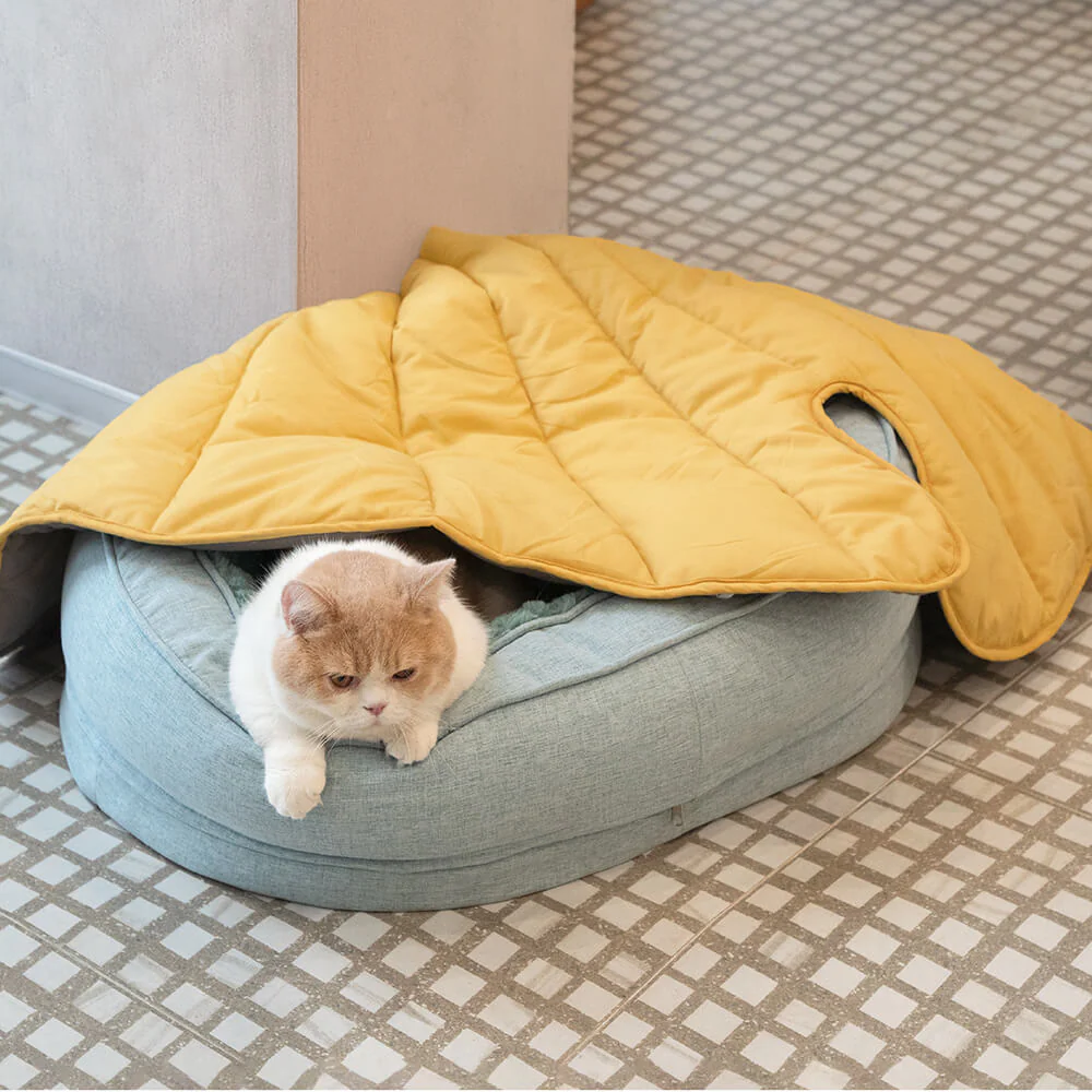 Donut Orthopedic Dog Bed - Image 16