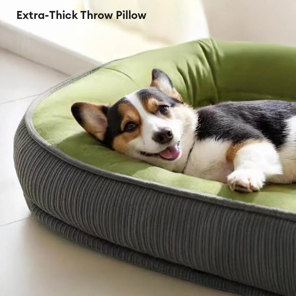 Durable Scratch-Resistant Suede Surface Dog Bed - Image 5