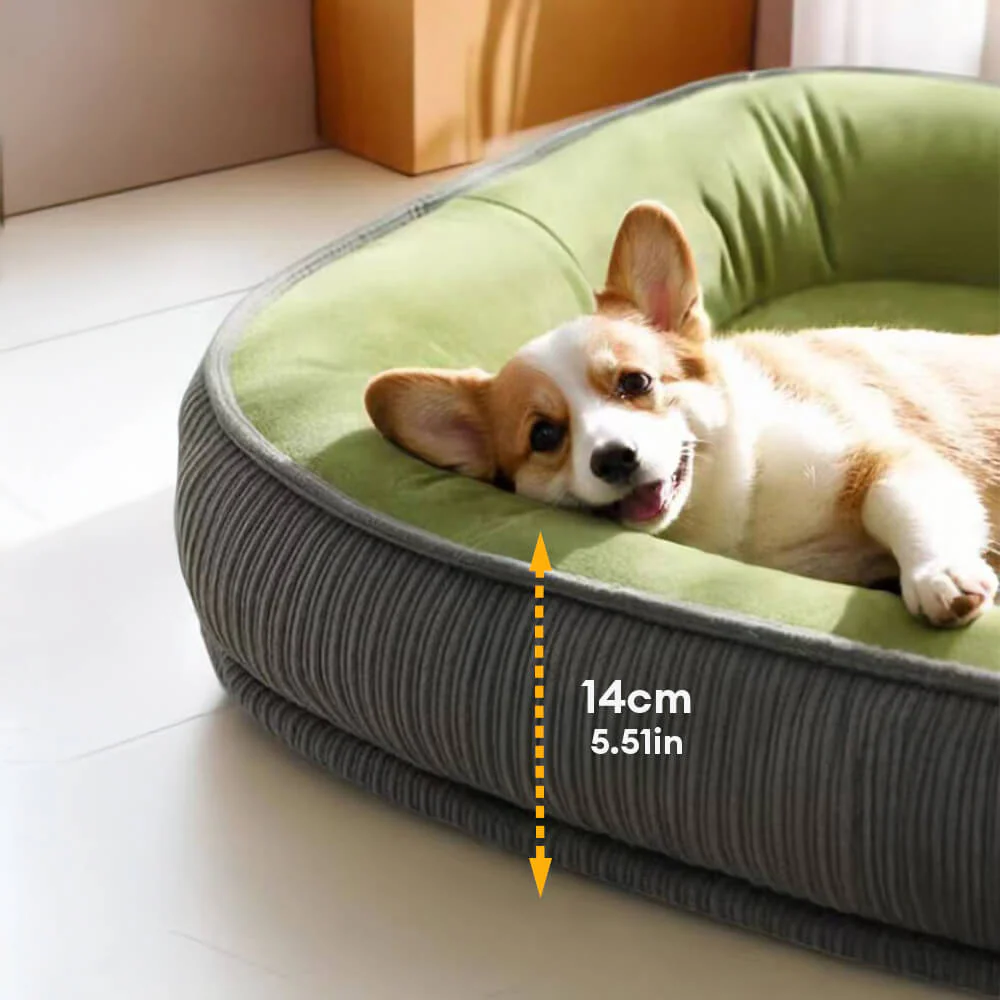 Durable Scratch-Resistant Suede Surface Dog Bed - Image 7