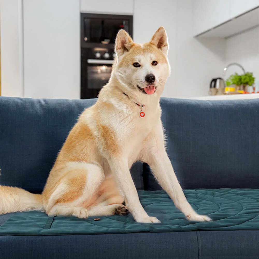 Foldable Waterproof Portable Dog Car Seat Mat Dog Camping Mat - Image 8