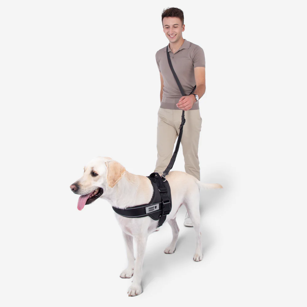 Multifunction Hands Free Dog Leash With Safety Seat Belt - Image 7