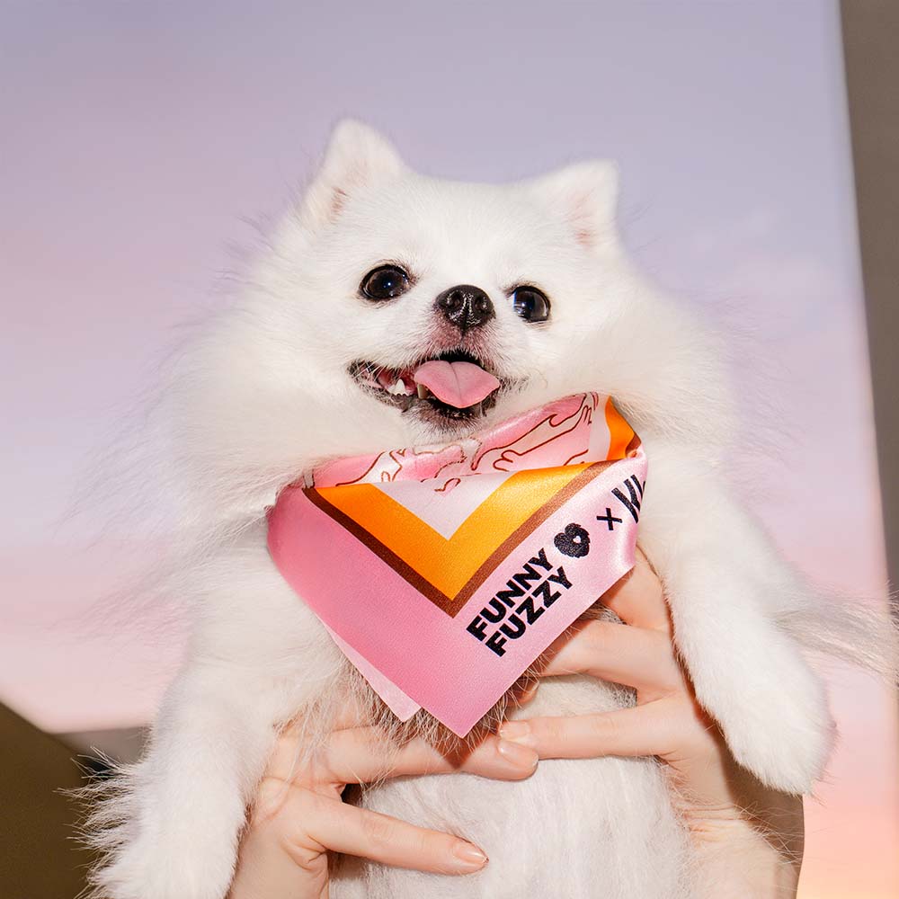 FUNNYFUZZY X Klarna Pet & Human Scarf - Image 20