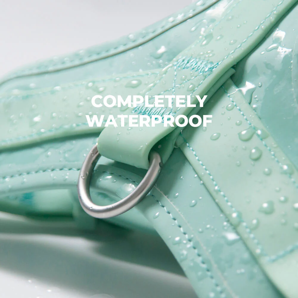 Gummy Dog Harness - Image 7