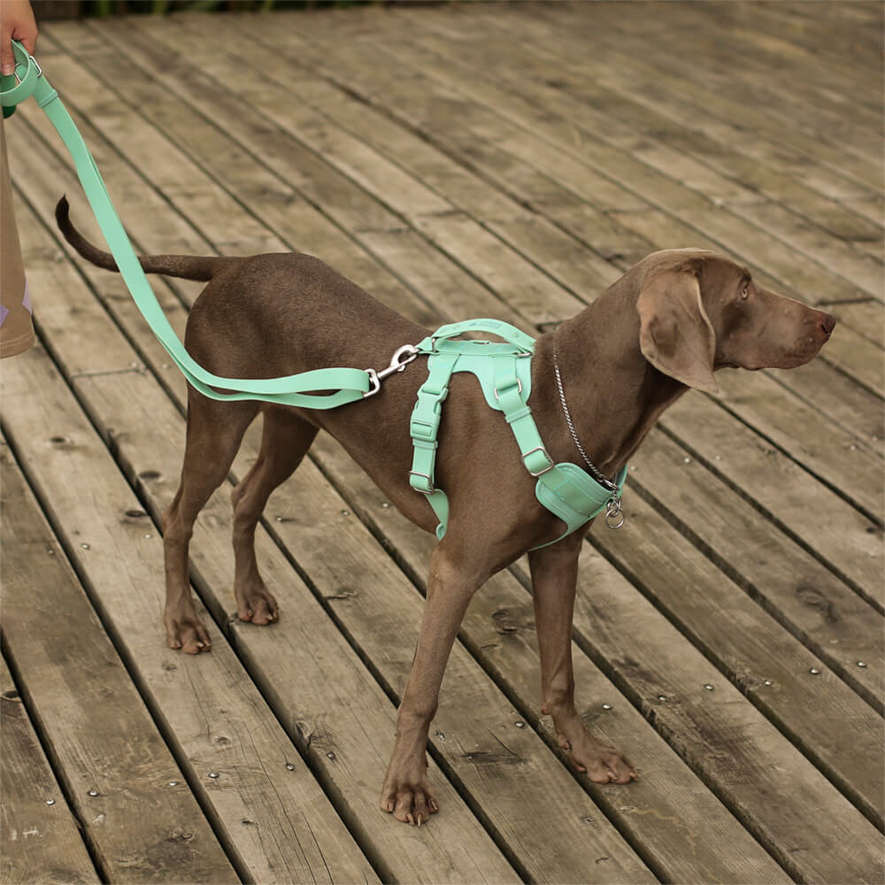 Gummy Dog Harness - Image 3