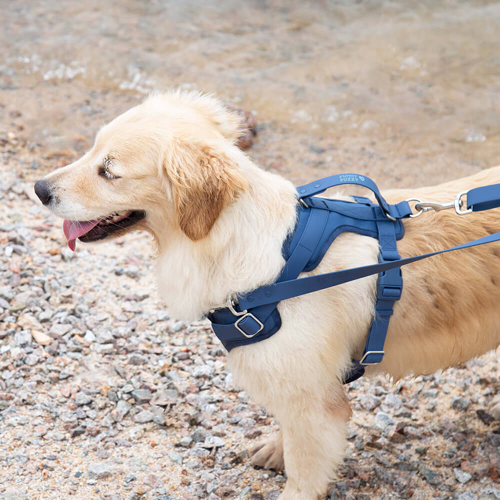 Gummy Dog Harness - Image 5