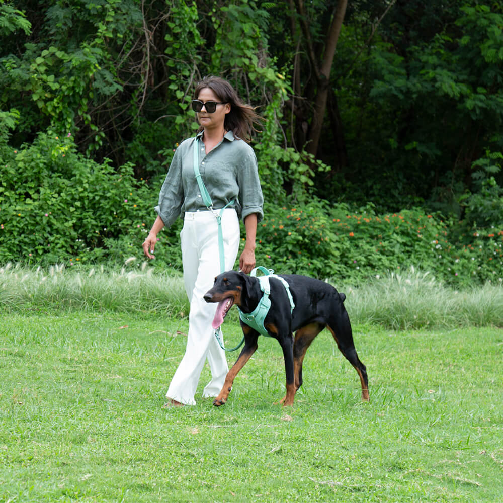 Gummy Dog Leash - Image 7