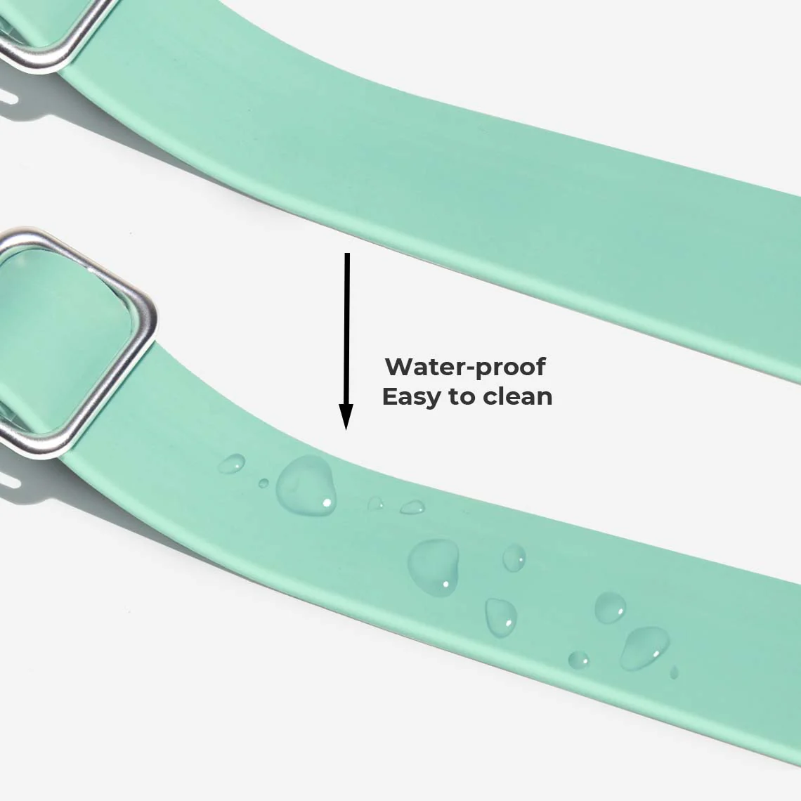 Gummy Dog Leash - Image 4