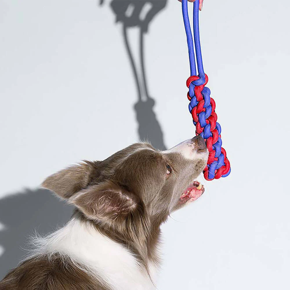 Knots Rope Dog Toy Set - Color Clash - Image 6