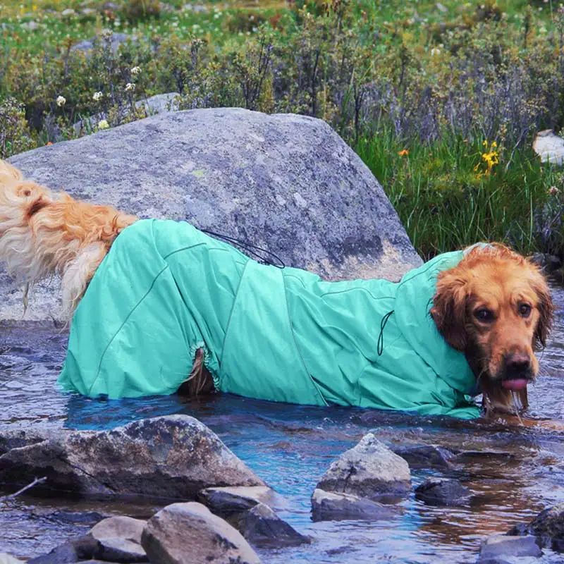 Large Dog Outdoor Jacket Waterproof Adjustable Dog Rain Coat - Image 10
