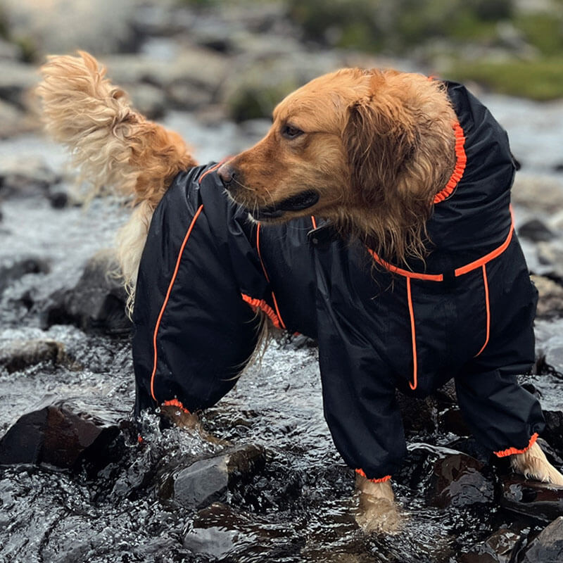 Large Dog Outdoor Jacket Waterproof Adjustable Dog Rain Coat - Image 3