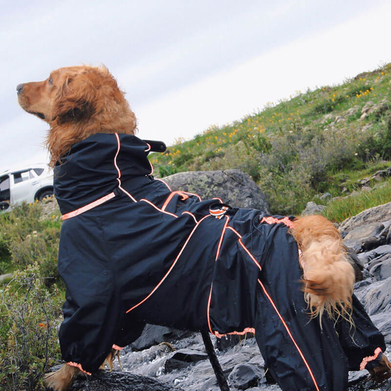 Large Dog Outdoor Jacket Waterproof Adjustable Dog Rain Coat - Image 8