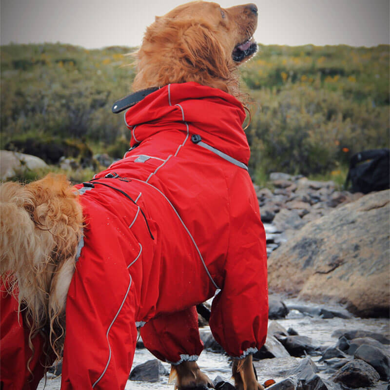 Large Dog Outdoor Jacket Waterproof Adjustable Dog Rain Coat - Image 9
