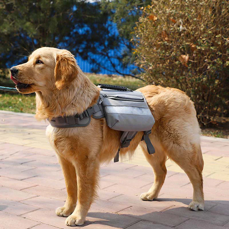 Large Dogs Tactical Dog Harness Self-Pack - Image 12