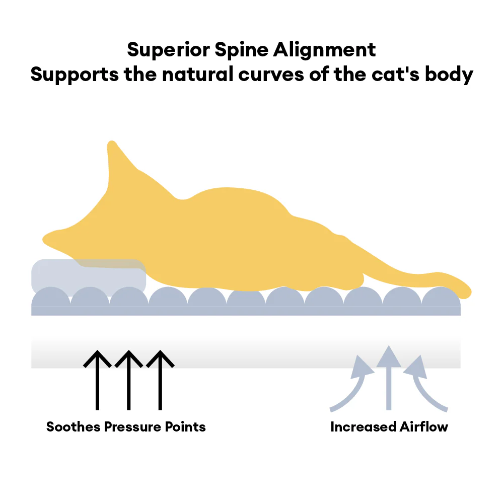 Large Soft Supportive Headrest Orthopedic Cat Bolster Bed - Cloudy Napper - Image 6