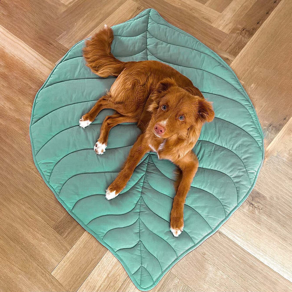 Leaf Shape Dog Blanket - Image 11