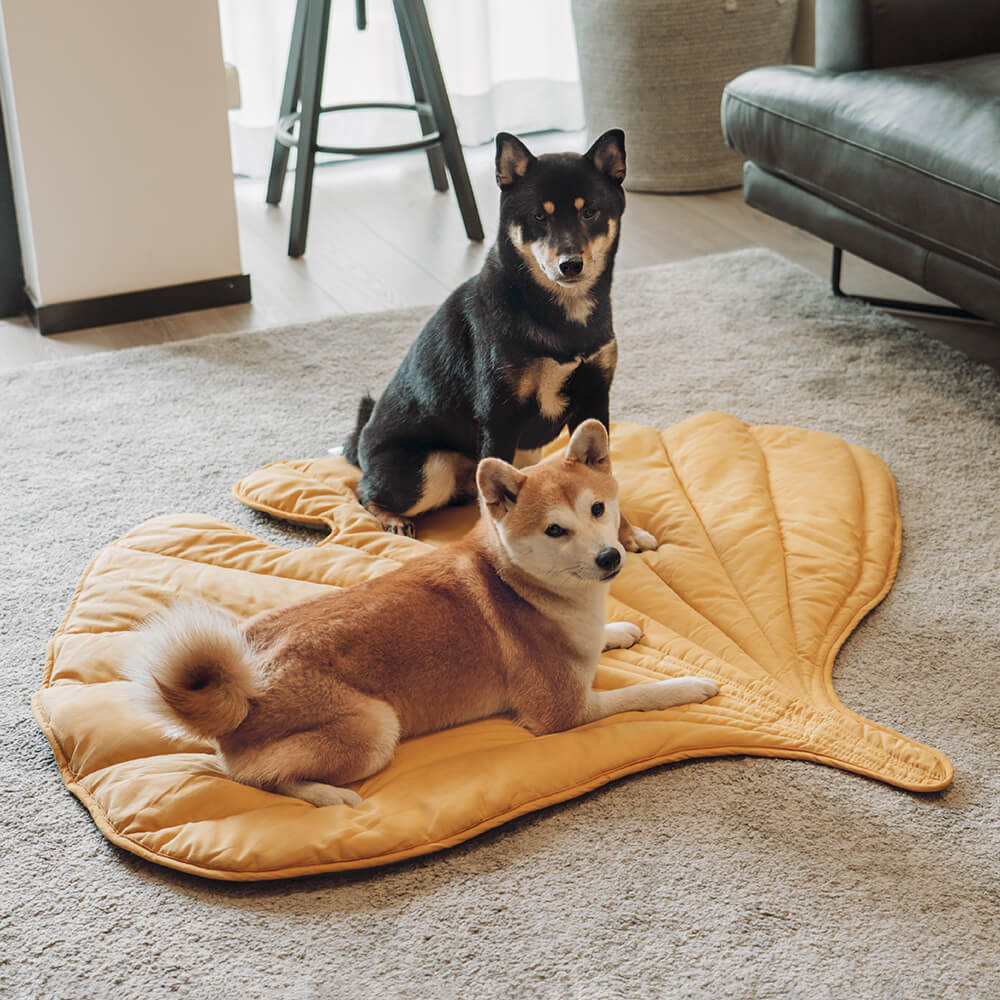 Leaf Shape Dog Blanket - Image 13