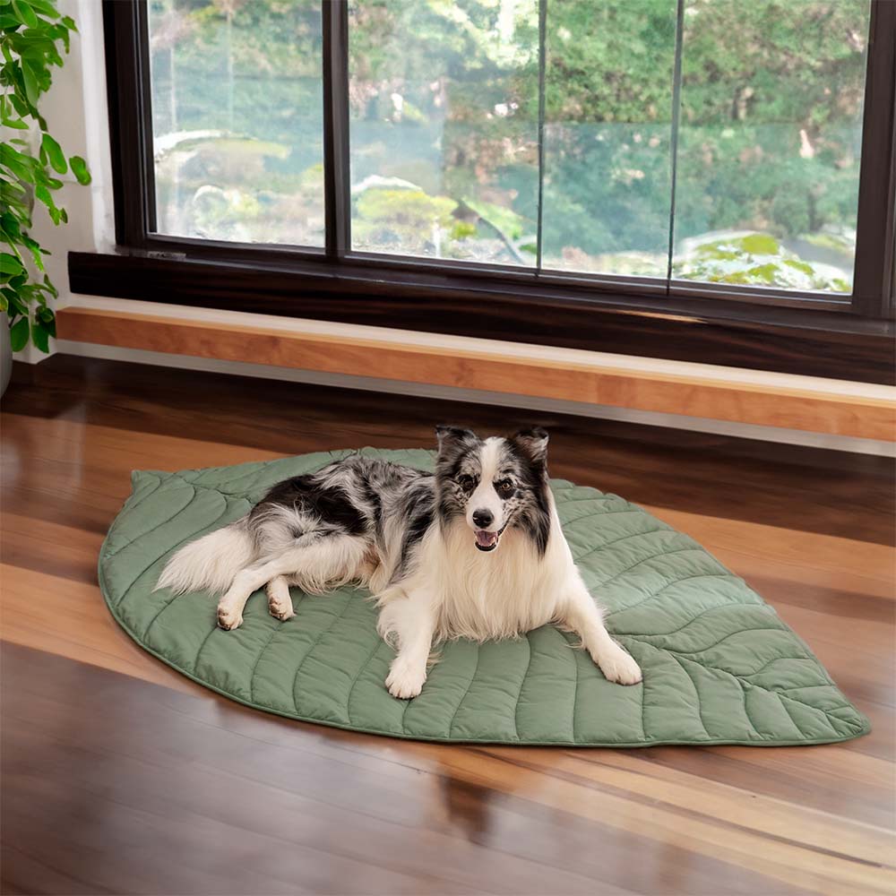 Leaf Shape Dog Blanket - Image 21