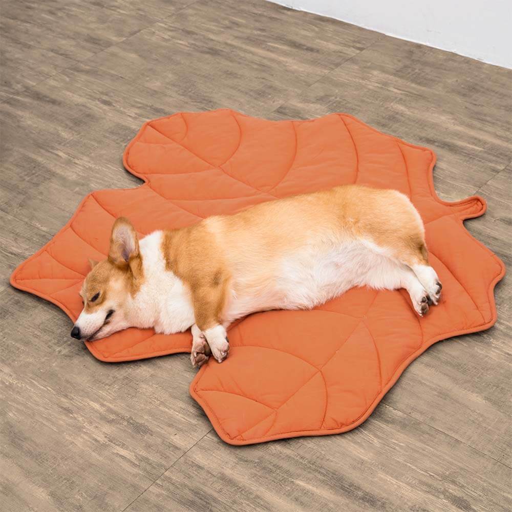 Leaf Shape Dog Blanket - Image 7