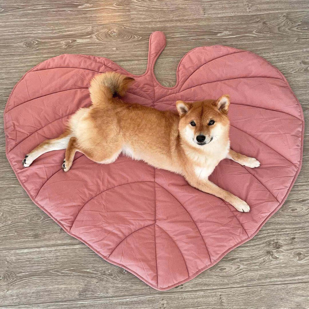 Leaf Shape Dog Blanket - Image 8